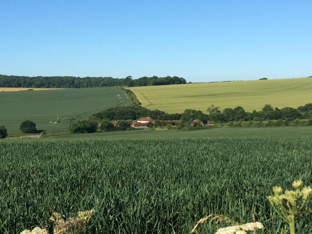 Shepherds Barn West Dean Exterior foto